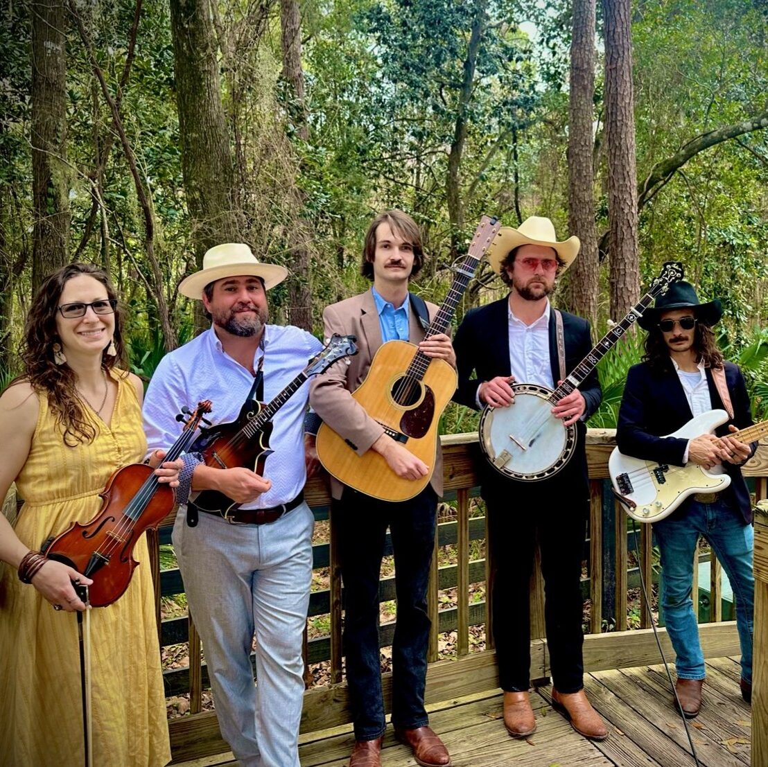 Black Creek String Band at the park